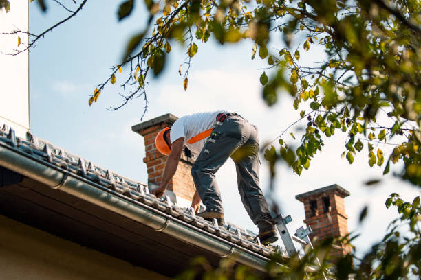 Roof Waterproofing Services in Woodbury, TN