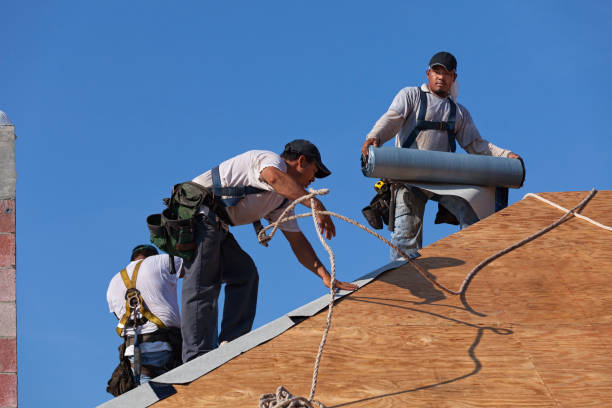 Professional Roofing Contractor in Woodbury, TN